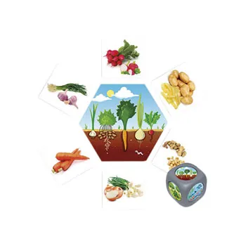 Where Does Food Come From? - Modern Teaching Aids NZ