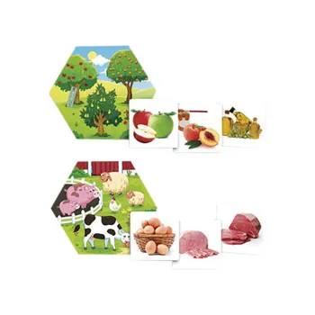 Where Does Food Come From? - Modern Teaching Aids NZ