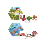 Where Does Food Come From? - Modern Teaching Aids NZ