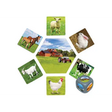 Where Do Animals Live? - Modern Teaching Aids NZ