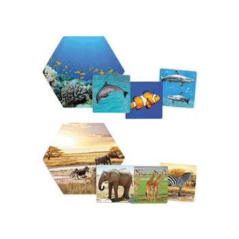 Where Do Animals Live? - Modern Teaching Aids NZ