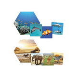 Where Do Animals Live? - Modern Teaching Aids NZ