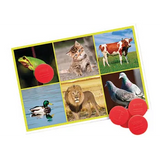 Bingo: Animals and Nature - Modern Teaching Aids NZ