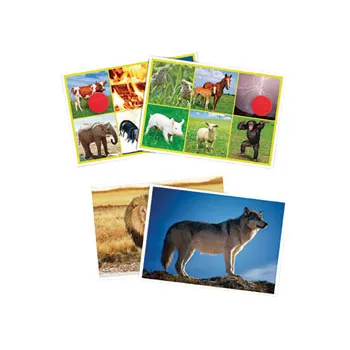 Bingo: Animals and Nature - Modern Teaching Aids NZ