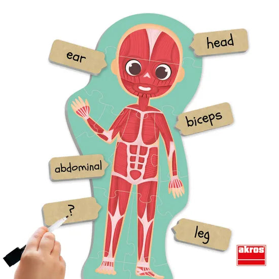Discover the Human Body Puzzle