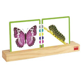 Wooden Card Holders - Pack of 2 - Modern Teaching Aids NZ