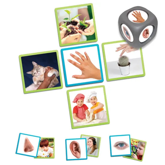 The 5 Senses Matching Game - Modern Teaching Aids NZ