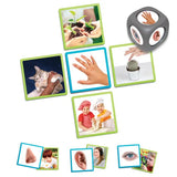 The 5 Senses Matching Game - Modern Teaching Aids NZ