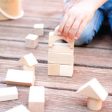 Natural Blocks 100 Pieces - Modern Teaching Aids NZ