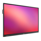 Promethean ActivPanel LE 65"