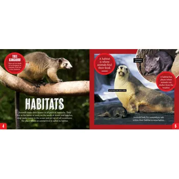 Discover: Animal Homes - Modern Teaching Aids NZ