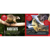 Discover: Animal Homes - Modern Teaching Aids NZ