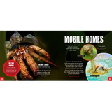 Discover: Animal Homes - Modern Teaching Aids NZ