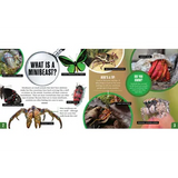 Discover: Minibeasts - Modern Teaching Aids NZ