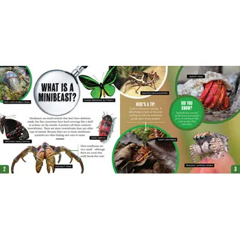 Discover: Minibeasts - Modern Teaching Aids NZ
