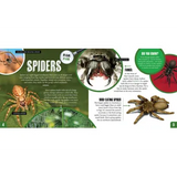 Discover: Minibeasts - Modern Teaching Aids NZ