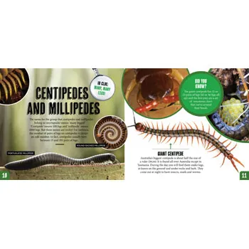 Discover: Minibeasts - Modern Teaching Aids NZ