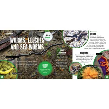 Discover: Minibeasts - Modern Teaching Aids NZ