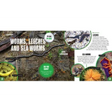 Discover: Minibeasts - Modern Teaching Aids NZ