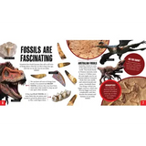 Discover: Rocks and Fossils - Modern Teaching Aids NZ
