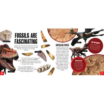 Discover: Rocks and Fossils - Modern Teaching Aids NZ