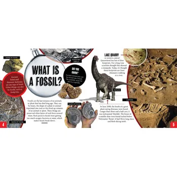 Discover: Rocks and Fossils - Modern Teaching Aids NZ