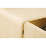 Aurum Spaces - Cupboard - 60x30x94.6cm - Modern Teaching Aids NZ