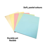 Pastel Cardboard A4 220gsm - Pack of 100 - Modern Teaching Aids NZ