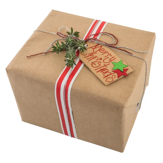 Christmas Wrapping Paper Roll - Modern Teaching Aids NZ