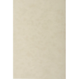 Natural Parchment Paper A4 180gsm - Pack of 50 - Modern Teaching Aids NZ