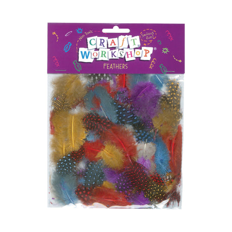 Craft Feathers Assorted Cols 6 - Modern Teaching Aids NZ