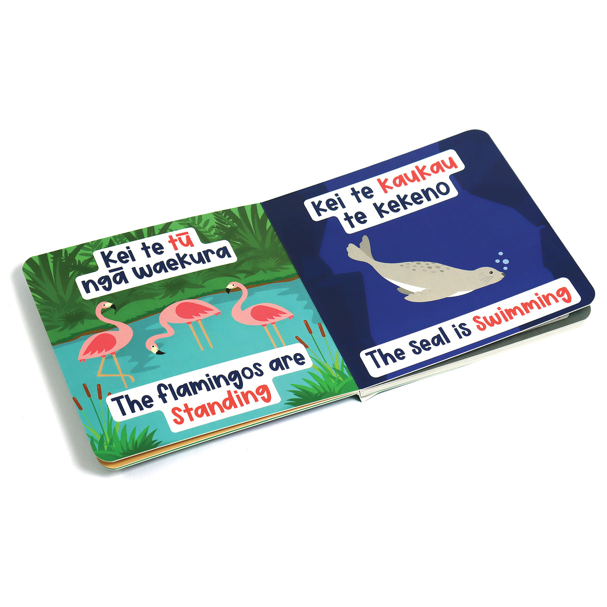 Board Book Te Reo Actions 15x1 - Modern Teaching Aids NZ