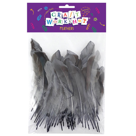 Craft Feather Grey/Black 12-15 - Modern Teaching Aids NZ