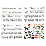 Magnetic NZ Māori Animals 63pcs - Modern Teaching Aids NZ