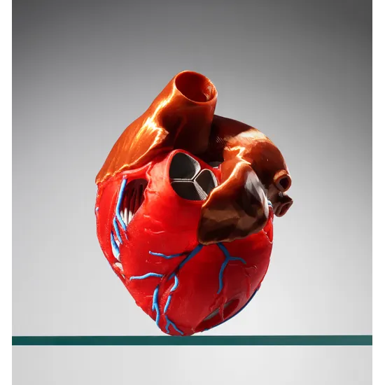 Bambu Lab H2D Pro Combo