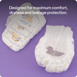 BabyLove Nappy Pants - Junior, 15-25 kg, Pack of 66