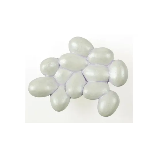 Ant Life Cycle - Set of 4 - Modern Teaching Aids NZ