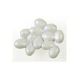 Ant Life Cycle - Set of 4 - Modern Teaching Aids NZ