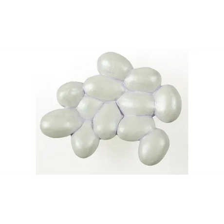 Ant Life Cycle - Set of 4 - Modern Teaching Aids NZ