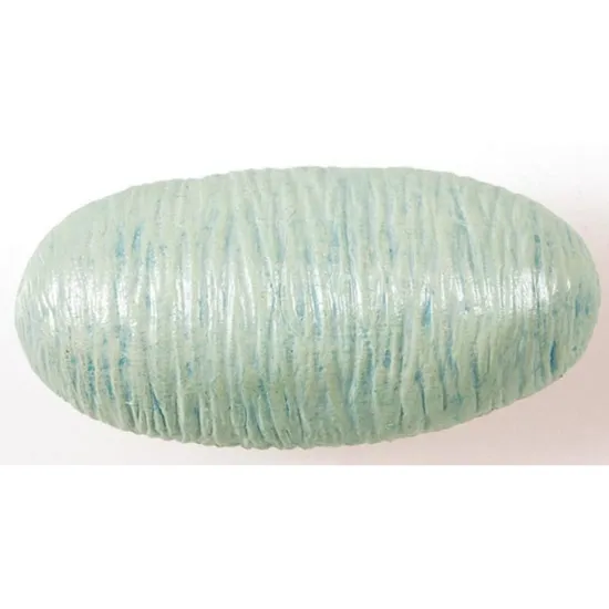 Ant Life Cycle - Set of 4 - Modern Teaching Aids NZ