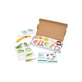 Magnetic Life Cycle - Animals & Insects, Set of 5 - Modern Teaching Aids NZ