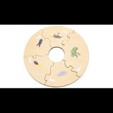 Frog Life Cycle Model & Puzzle Set - Modern Teaching Aids NZ