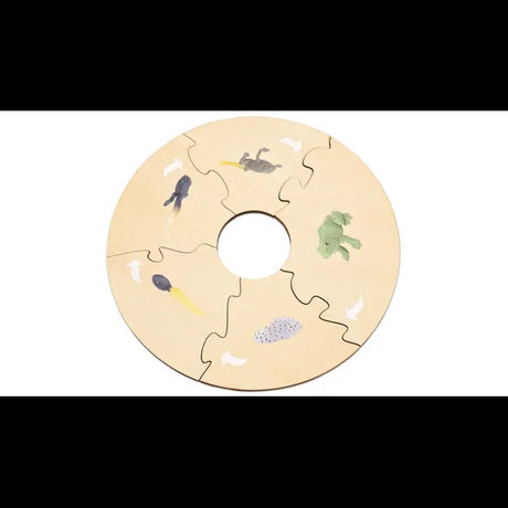 Frog Life Cycle Model & Puzzle Set - Modern Teaching Aids NZ