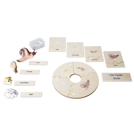 Snail Life Cycle Model & Puzzle Set - Modern Teaching Aids NZ
