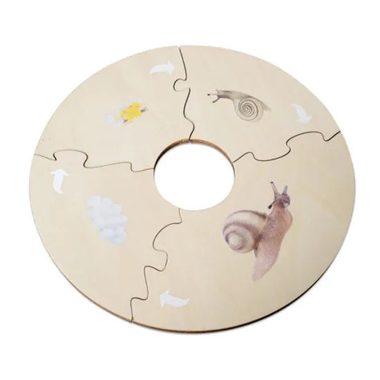 Snail Life Cycle Model & Puzzle Set - Modern Teaching Aids NZ