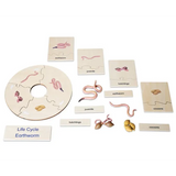 Earthworm Life Cycle Model & Puzzle Set - Modern Teaching Aids NZ