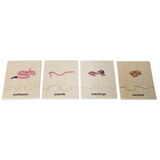 Earthworm Life Cycle Model & Puzzle Set - Modern Teaching Aids NZ
