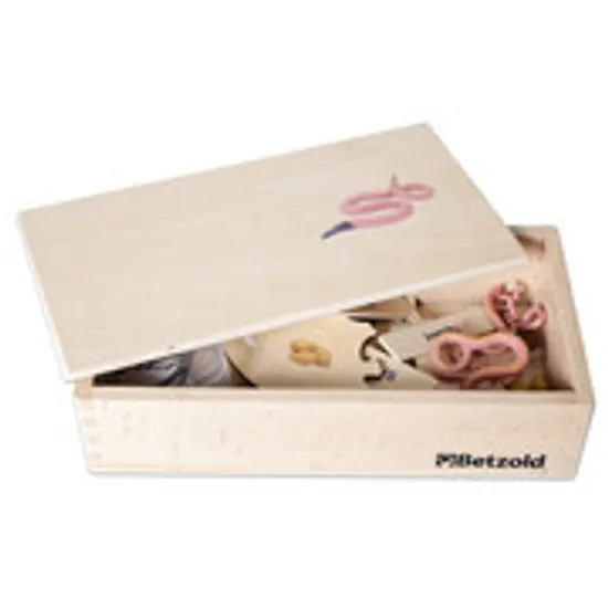 Earthworm Life Cycle Model & Puzzle Set - Modern Teaching Aids NZ