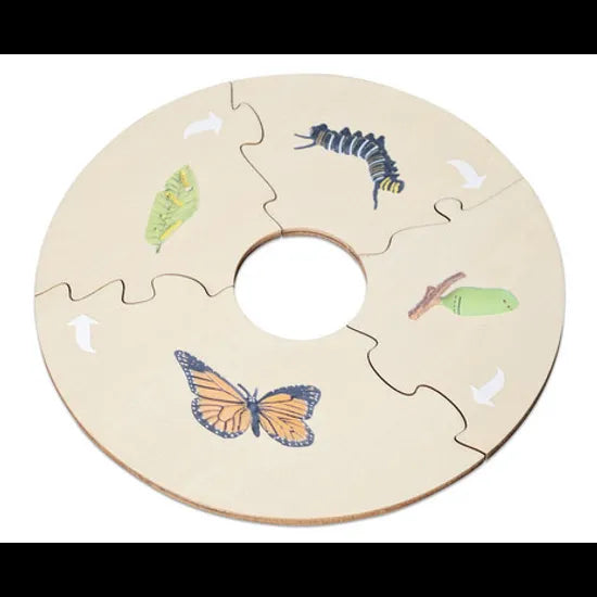 Butterfly Life Cycle Model & Puzzle Set - Modern Teaching Aids NZ