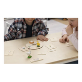 Chicken Life Cycle Model & Puzzle Set - Modern Teaching Aids NZ